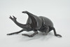 Beetle, Rhinoceros, Horned Stag Beetle, Dynastinae, Rubber Insect, Educational, Toy, Kids, Realistic Figure, Lifelike Model, Figurine, Replica, Gift,     5"     ABC17 B263