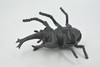 Beetle, Rhinoceros, Horned Stag Beetle, Dynastinae, Rubber Insect, Educational, Toy, Kids, Realistic Figure, Lifelike Model, Figurine, Replica, Gift,     5"     ABC17 B263