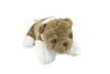 Bull Dog, English Bulldog, Stuffed Canine, Educational, Plush Toy, Kids, Realistic Figure, Lifelike Model, Replica, Gift,       9"     F1235 B261