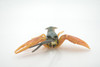 Crawfish, Crayfish, Museum Quality, Hand Painted, Rubber Crustaceans, Educational, Realistic Toy, Figure, Diorama Model, Replica, Kids, Lifelike,  Gift,       7 Inches    CH476 BB153
