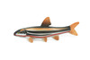 Fish, Japanese dace, Big-scaled redfin, Hand Painted, Rubber Fish, Realistic, Toy, Figure, Model, Replica, Kids, Educational, Gift,     5 1/2"     CH478 BB153