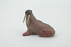 Walrus, Pinniped, Marine Mammal, Museum Quality, Hand Painted, Rubber Animal, Realistic, Toy, Figure, Model, Replica, Kids, Educational, Gift,   2 1/4"   CH479 BB153