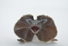 Frilled Lizard, Chlamydosaurus kingii, Museum Quality, Educational, Hand Painted, Rubber Reptile, Realistic Toy, Lifelike Design, Diorama Model, Kids, 6 Inches.