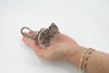 Frilled Lizard, Chlamydosaurus kingii, Museum Quality, Educational, Hand Painted, Rubber Reptile, Realistic Toy, Lifelike Design, Diorama Model, Kids, 6 Inches.