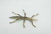 Stick insects, Stick-bugs, Walking Sticks, Museum Quality, Educational, Hand Painted, Rubber Insect, Realistic Toy Figure, Model, Replica, Kids, Gift,   4 Inches. 