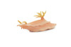 Sea Slug, Marine Mollusks, Museum Quality, Educational, Hand Painted, Rubber Gastropod, Realistic Toy, Lifelike Design, Diorama Model, Kids, Gift,    3 Inches.  