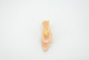 Sea Slug, Marine Mollusks, Museum Quality, Hand Painted, Rubber Gastropod, Realistic Toy, Figure, Model, Replica, Kids, Educational, Gift,     3"     CH482 BB153