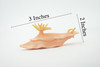 Sea Slug, Marine Mollusks, Museum Quality, Hand Painted, Rubber Gastropod, Realistic Toy, Figure, Model, Replica, Kids, Educational, Gift,     3"     CH482 BB153