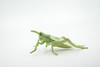 Grasshopper, Locusts, Museum Quality, Hand Painted, Rubber, Insect, Realistic Toy Figure, Model, Replica, Kids, Educational, Gift,     4"     CH485 BB154