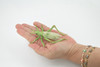 Grasshopper, Locusts, Museum Quality, Hand Painted, Rubber, Insect, Realistic Toy Figure, Model, Replica, Kids, Educational, Gift,     4"     CH485 BB154