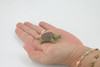 Alligator Snapping Turtle, Plastic Reptile, Educational, Realistic, Figure, Lifelike Model, Figurine, Replica, Toys, Kids, Gift,    2 1/2 Inches. 