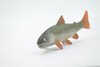 Fish, Arctic Char, Salmonidae, Museum Quality, Hand Painted, Realistic, Rubber Fish, Figure, Model, Replica, Toy, Kids, Educational, Gift,     6"   CH506 BB156