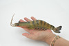 Shrimp, Prawn, Tiger Shrimp, Museum Quality, Hand Painted, Rubber Crustaceans, Realistic Toy Figure, Model, Replica, Kids, Educational, Gift,     9"      CH513 BB157