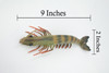 Shrimp, Prawn, Tiger Shrimp, Museum Quality, Hand Painted, Rubber Crustaceans, Realistic Toy Figure, Model, Replica, Kids, Educational, Gift,     9"      CH513 BB157