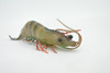 Shrimp, Prawn, Tiger Shrimp, Museum Quality, Hand Painted, Rubber Crustaceans, Realistic Toy Figure, Model, Replica, Kids, Educational, Gift,     9"      CH513 BB157