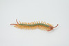 Centipede, Green, Arthropods, Museum Quality, Hand Painted, Rubber Chilopoda, Realistic, Figure, Model, Replica, Toy, Kids, Educational, Gift,    3"     CH518 BB158