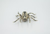 Spider, Wolf, Arachnids, Museum Quality, Hand Painted, Rubber Insect, Realistic, Figure, Model, Replica, Toy, Kids, Educational, Gift,     3 1/2"     CH530 BB158