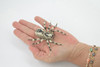 Spider, Wolf, Arachnids, Museum Quality, Hand Painted, Rubber Insect, Realistic, Figure, Model, Replica, Toy, Kids, Educational, Gift,     3 1/2"     CH530 BB158