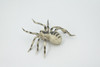 Spider, Wolf, Arachnids, Museum Quality, Hand Painted, Rubber Insect, Realistic, Figure, Model, Replica, Toy, Kids, Educational, Gift,     3 1/2"     CH530 BB158
