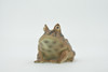 Frog, Horned Frog, Leptodactylidae, Museum Quality, Hand Painted, Rubber, Realistic Figure, Model, Replica, Toy, Kids, Educational, Gift,    2 1/2"   CH542 BB159