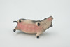 Pig, Vietnamese Pot-bellied, Swine, High Quality, Hand Painted, Rubber, Realistic, Toy Figure, Model, Replica, Kids, Educational, Gift,      3 1/2"       CH555 BB161