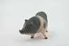 Pig, Vietnamese Pot-bellied, Swine, High Quality, Hand Painted, Rubber, Realistic, Toy Figure, Model, Replica, Kids, Educational, Gift,      3 1/2"       CH555 BB161