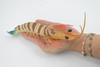 Shrimp, Prawn, Tiger Shrimp, Museum Quality, Hand Painted, Rubber Crustaceans, Realistic Toy Figure, Model, Replica, Kids, Educational, Gift,     9"      CH558 BB161