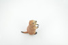 Marmot, Ground Squirrels, Marmota, Museum Quality, Hand Painted, Rubber Mammal, Realistic Toy Figure, Replica, Kids, Educational, Gift,     4 1/2"    CH559 BB161