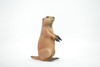 Marmot, Ground Squirrels, Marmota, Museum Quality, Hand Painted, Rubber Mammal, Realistic Toy Figure, Replica, Kids, Educational, Gift,     4 1/2"    CH559 BB161