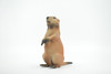 Marmot, Ground Squirrels, Marmota, Museum Quality, Hand Painted, Rubber Mammal, Realistic Toy Figure, Replica, Kids, Educational, Gift,     4 1/2"    CH559 BB161