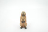 Marmot, Ground Squirrels, Marmota, Museum Quality, Hand Painted, Rubber Mammal, Realistic Toy Figure, Replica, Kids, Educational, Gift,     4 1/2"    CH559 BB161