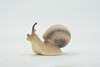 Snail, Land, Shelled Gastropod, Museum Quality, Rubber, Snail, Educational, Realistic, Hand Painted, Figure, Lifelike, Toy, Kids, Replica, Gift,    3 1/2"     CH570 BB162