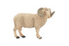 Sheep, Ram, Domestic sheep, Museum Quality, Rubber, Educational, Realistic, Hand Painted, Figure, Lifelike, Toy, Kids, Replica, Gift,    4"     CH571 BB162