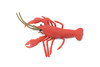 Crayfish, Crawfish, Crawdads, High Quality, Hand Painted, Rubber, Crustaceans, Realistic, Lifelike, Figure, Toy, Kids, Educational, Gift,      4"    CH578 BB163