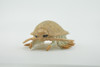 Isopod, Arthropods, Museum Quality, Hand Painted, Rubber, Crustaceans, Realistic, Figure, Toy, Kids, Educational, Gift,   2 1/2"    CH583 BB163 