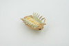 Isopod, Arthropods, Museum Quality, Hand Painted, Rubber, Crustaceans, Realistic, Figure, Toy, Kids, Educational, Gift,   2 1/2"    CH583 BB163 