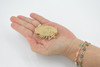 Isopod, Arthropods, Museum Quality, Hand Painted, Rubber, Crustaceans, Realistic, Figure, Toy, Kids, Educational, Gift,   2 1/2"    CH583 BB163 