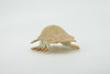 Isopod, Arthropods, Museum Quality, Hand Painted, Rubber, Crustaceans, Realistic, Figure, Toy, Kids, Educational, Gift,   2 1/2"    CH583 BB163 