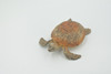 Turtle, Green Sea Turtle, Museum Quality, Hand Painted, Rubber Reptile, Realistic Toy Figure, Model, Replica, Kids, Educational, Gift,     3"    CH593 BB164