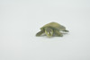 Turtle, Softshell Turtle, Chinese, Museum Quality, Hand Painted, Rubber Reptile, Realistic Toy Figure, Model, Replica, Kids, Educational, Gift,     2"    CH594 BB164