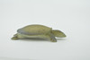 Turtle, Softshell Turtle, Chinese, Museum Quality, Hand Painted, Rubber Reptile, Realistic Toy Figure, Model, Replica, Kids, Educational, Gift,     2"    CH594 BB164