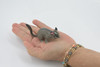 Possum, Museum Quality, Hand Painted, Rubber marsupial, Realistic Toy Figure, Model, Replica, Kids, Educational, Gift,     3"    CH597 BB164