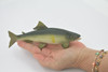 Fish, Sweetfish, Japan, Museum Quality, Hand Painted, Rubber Animal, Realistic, Toy, Figure, Model, Replica, Kids, Educational, Gift,    6 1/2"    CH601 BB165