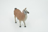 Alpaca, Lama pacos, Museum Quality, Hand Painted, Rubber Animal, Realistic, Toy, Figure, Model, Replica, Kids, Educational, Gift,    3 1/2"    CH603 BB165 