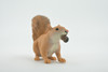 Squirrel, with nut, Museum Quality, Hand Painted, Rubber Rodent, Realistic Toy Figure, Model, Replica, Kids, Educational, Gift,     3"     CH607 BB166