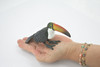 Bird, Toucan,  Museum Quality, Hand Painted, Rubber, family Ramphastidae, Realistic Toy Figure, Model, Replica, Kids, Educational, Gift,     6 1/2"     CH610 BB166