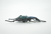 Beetle, Bombardier, Museum Quality, Hand Painted, Rubber Insect, Realistic, Toy, Figure, Model, Kids, Educational, Gift,    4 1/2"     CH618 BB167