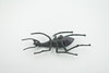 Beetle, Bombardier, Museum Quality, Hand Painted, Rubber Insect, Realistic, Toy, Figure, Model, Kids, Educational, Gift,    4 1/2"     CH618 BB167