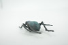 Beetle, Bombardier, Museum Quality, Hand Painted, Rubber Insect, Realistic, Toy, Figure, Model, Kids, Educational, Gift,    4 1/2"     CH618 BB167