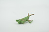 Grasshopper, Acrida, Acrididae, High Quality, Rubber Insect, Hand Painted, Realistic, Toy, Figure, Model, Replica, Kids, Educational, Gift,       2 "     CH619 BB167